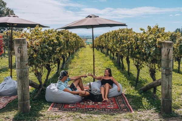 Instagram spots Black Barn Vineyards