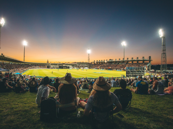 McLean Park cricket tile 600x450