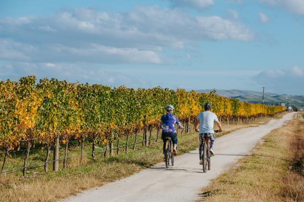 Wineries Ride 600x400