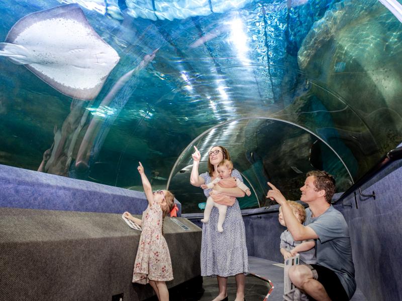 The National Aquarium of New Zealand, Napier