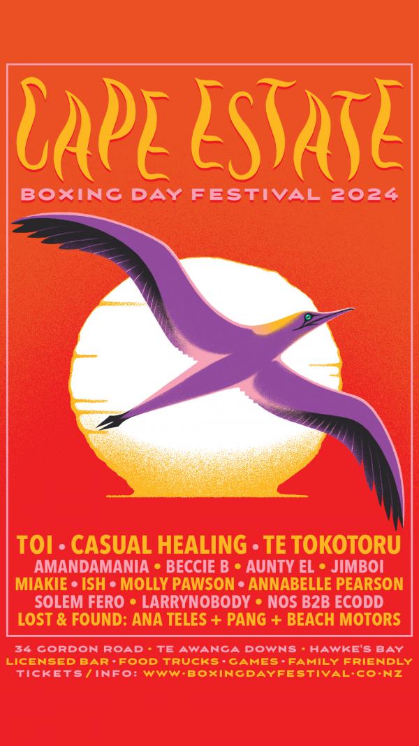 Boxing Day Festival 2024 Story